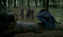 Movie image from Gosford Forest Park