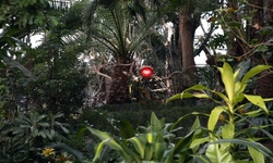 Movie image from Bloedel Conservatory  (Queen Elizabeth Park)