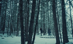 Movie image from The Woods (CL Western Town & Backlot)