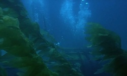 Movie image from A boat underwater