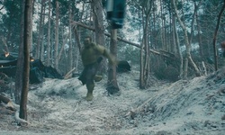 Movie image from Forest Road
