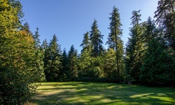 Real image from Burnaby Central Park