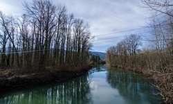 Real image from Ponte de Ronette