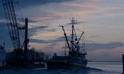 Movie image from Steveston Harbour