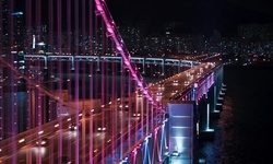 Movie image from Suspension Bridge