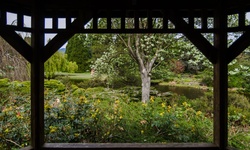 Real image from VanDusen Botanical Garden