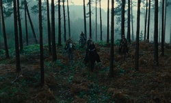 Movie image from Belgische Wälder