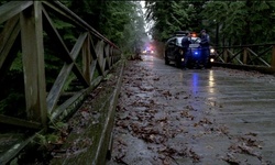 Movie image from Pipeline Road Bridge  (Stanley Park)