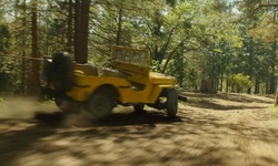 Movie image from Training Forest