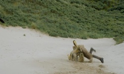 Movie image from Portstewart Strand