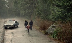 Movie image from Pipeline Road (north segment)  (Stanley Park)