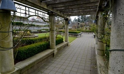 Real image from Rose Garden  (UBC)