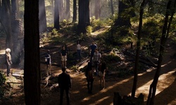 Movie image from Muir Woods Nationaldenkmal