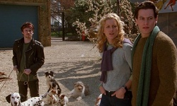 Movie image from Second Chance Animal Shelter