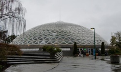 Real image from Bloedel Conservatory  (Queen Elizabeth Park)