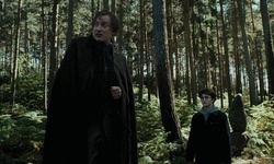 Movie image from Lakeside Woods (loin du lac)