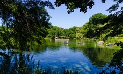 Real image from Ponte de proa (Central Park)