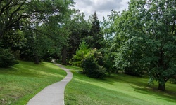 Real image from Hillside Gardens  (High Park)