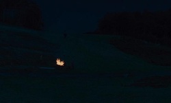 Movie image from Бельгийский лес