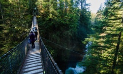 Real image from Lynn Canyon Park