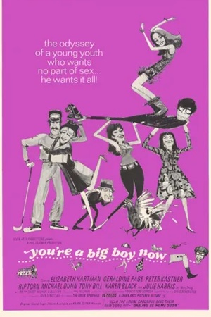  Poster You're a Big Boy Now 1966