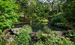 Real image from Hillside Gardens  (High Park)