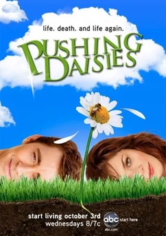 Poster Pushing Daisies: Um Toque de Vida 2007
