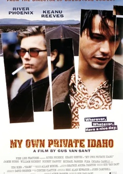 Poster Mi Idaho privado 1991