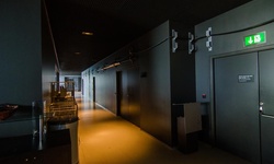 Real image from Harpa