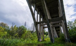 Real image from Taylor Creek Park