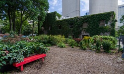 Real image from Downtown Diversity Garden