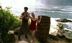 Movie image from Point near Hornblower Niagara Cruises
