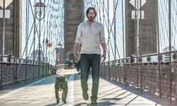 Movie image from The Brooklyn Bridge