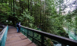 Real image from Twin Falls  (Lynn Canyon Park)