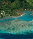 Poster Tonga