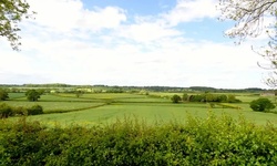 Real image from Bosworth Battlefield