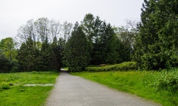 Real image from Field near Lake  (Deer Lake Park)