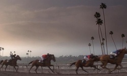 Movie image from Santa Anita Park