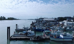 Movie image from Steveston Harbour