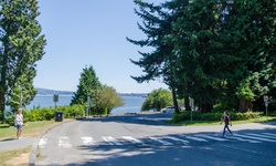 Real image from Stanley Park Drive & Pipeline Road  (Stanley Park)