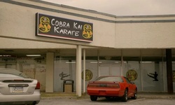 Movie image from Cobra Kai Dojo