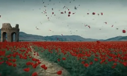 Movie image from Poppy field