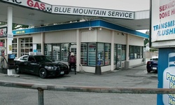 Movie image from Blue Mountain Service