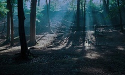 Movie image from Forbidden Forest