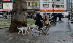 Movie image from Leicester Square