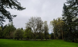 Real image from VanDusen Botanical Garden