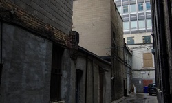 Real image from Alley