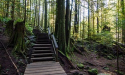 Real image from Lynn Canyon Park