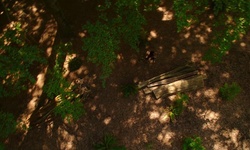 Movie image from Woods near Aquarium  (Stanley Park)