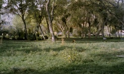 Movie image from Бывшая Африка, США.